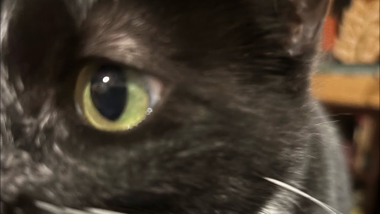 👀 eyes jumping?