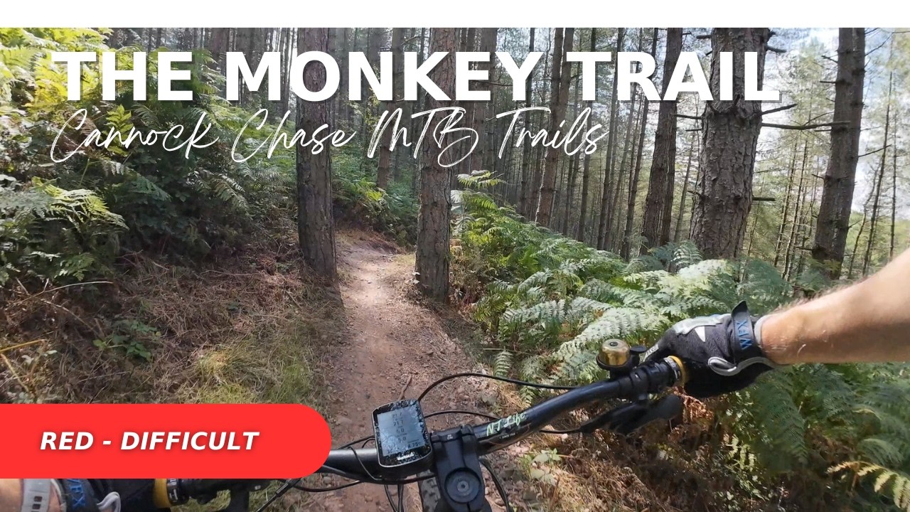 Cannock Chase MTB Trails - The Monkey Trail - Difficult Red Trail