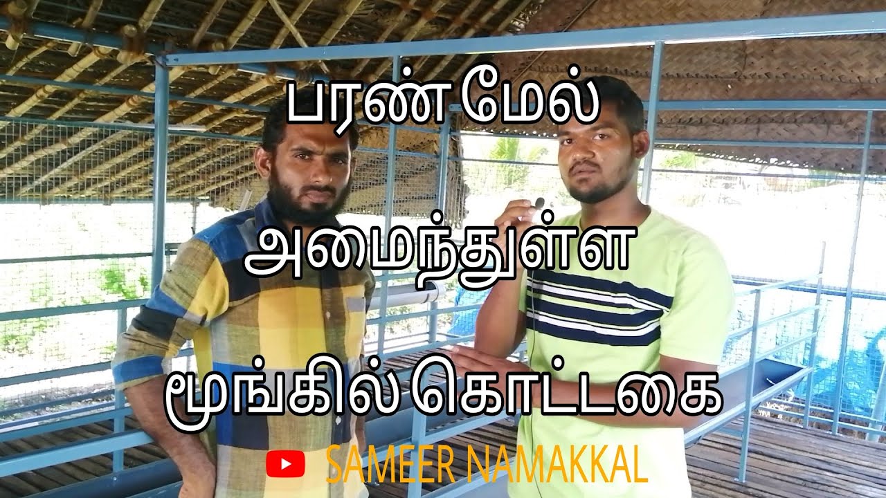 குறைந்த செலவில் ஆடுகளுக்கு பரண் அமைத்தல் | GOAT SHED FOR LOW BUDGET | BAMBOO SHED | SAMEER NAMAKKAL