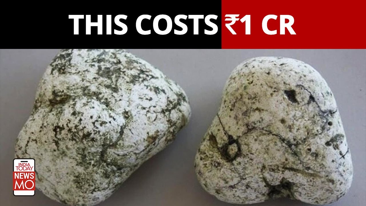 What Is Ambergris & Why Is This Whale Vomit So Valuable? | NewsMo