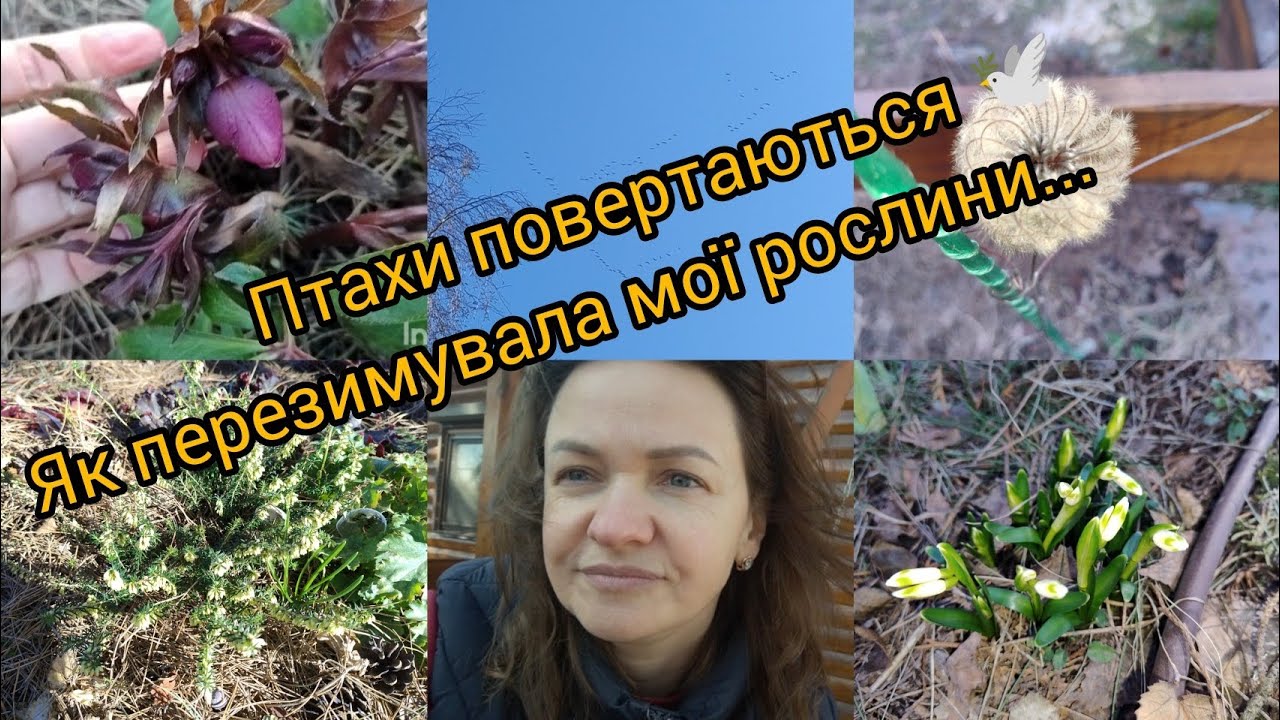 Відвідали дачу.Обрізаю все що бачу😀