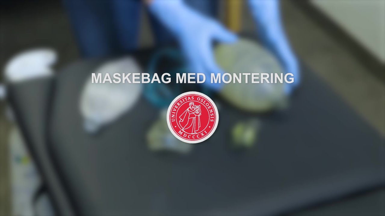Maskebag med montering