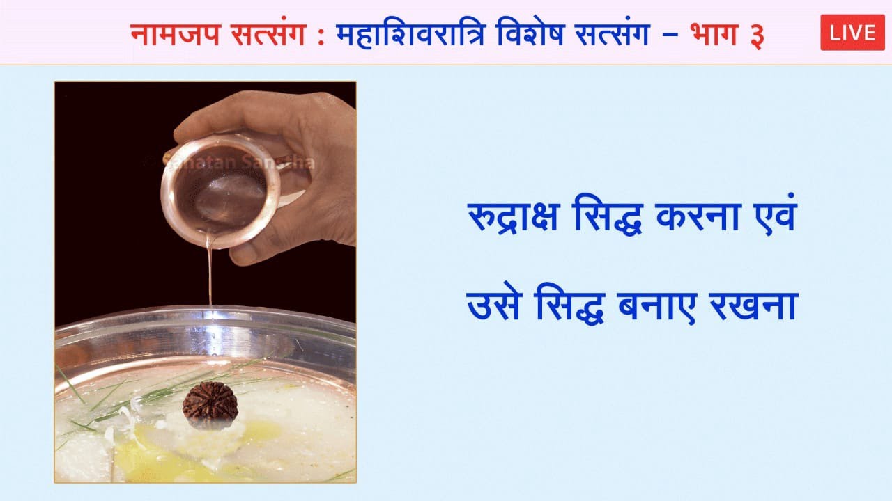 🌸 नामजप सत्संग : महाशिवरात्रि विशेष सत्संग (भाग 3)