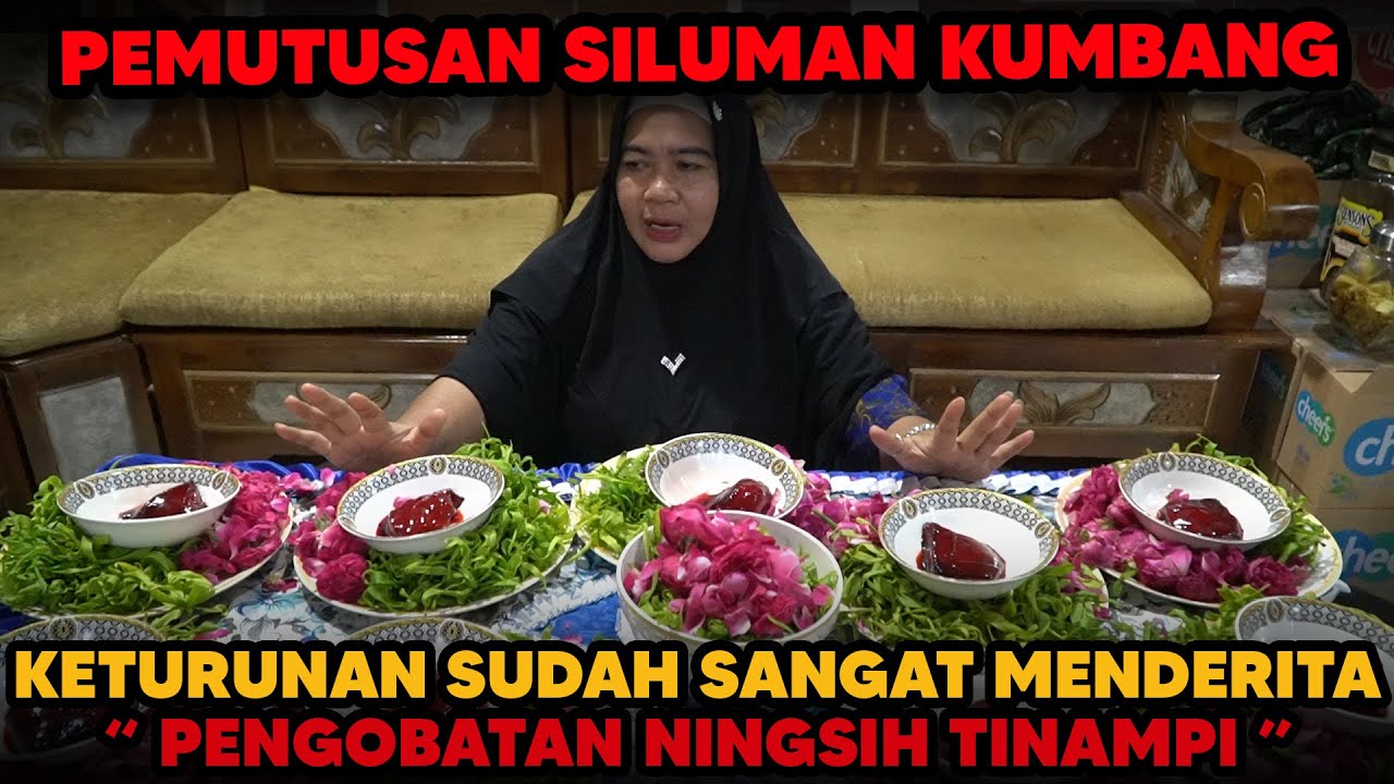 FULL PENYEMPURNAAN DAN PEMUTUSAN SILUMAN KUMBANG