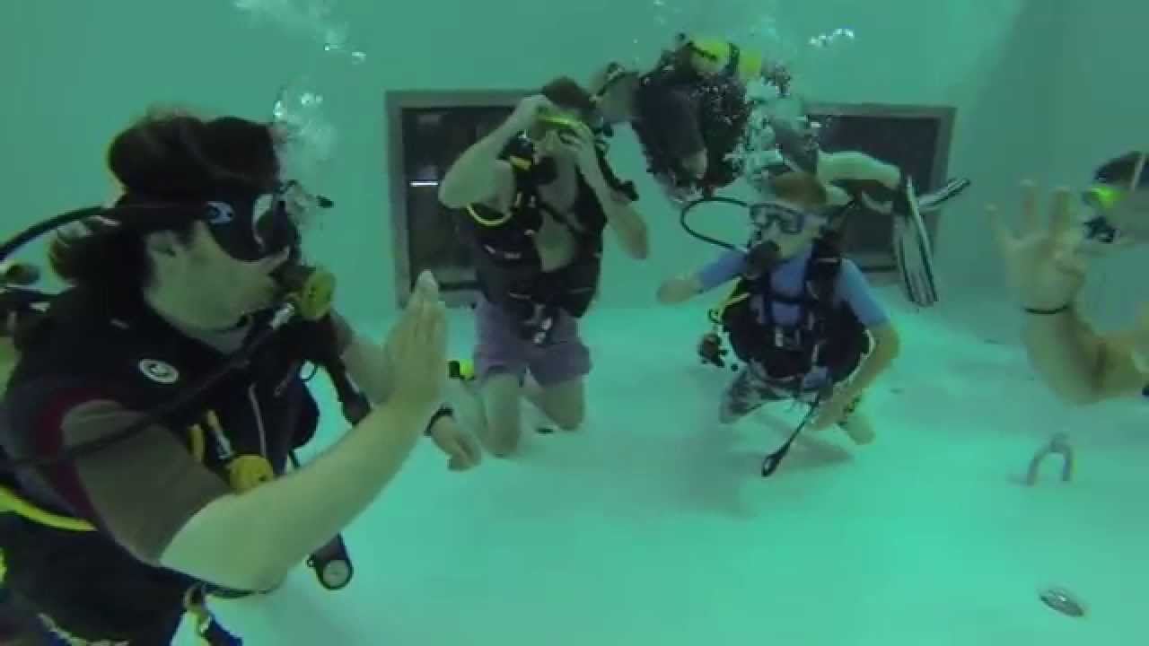 Nemo 33