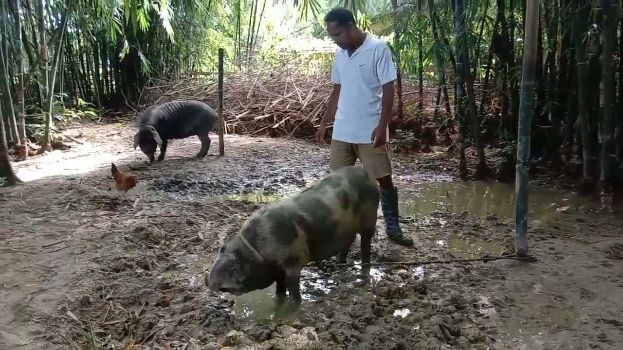 Gahori kei joni thanda jegat bandhi xo 