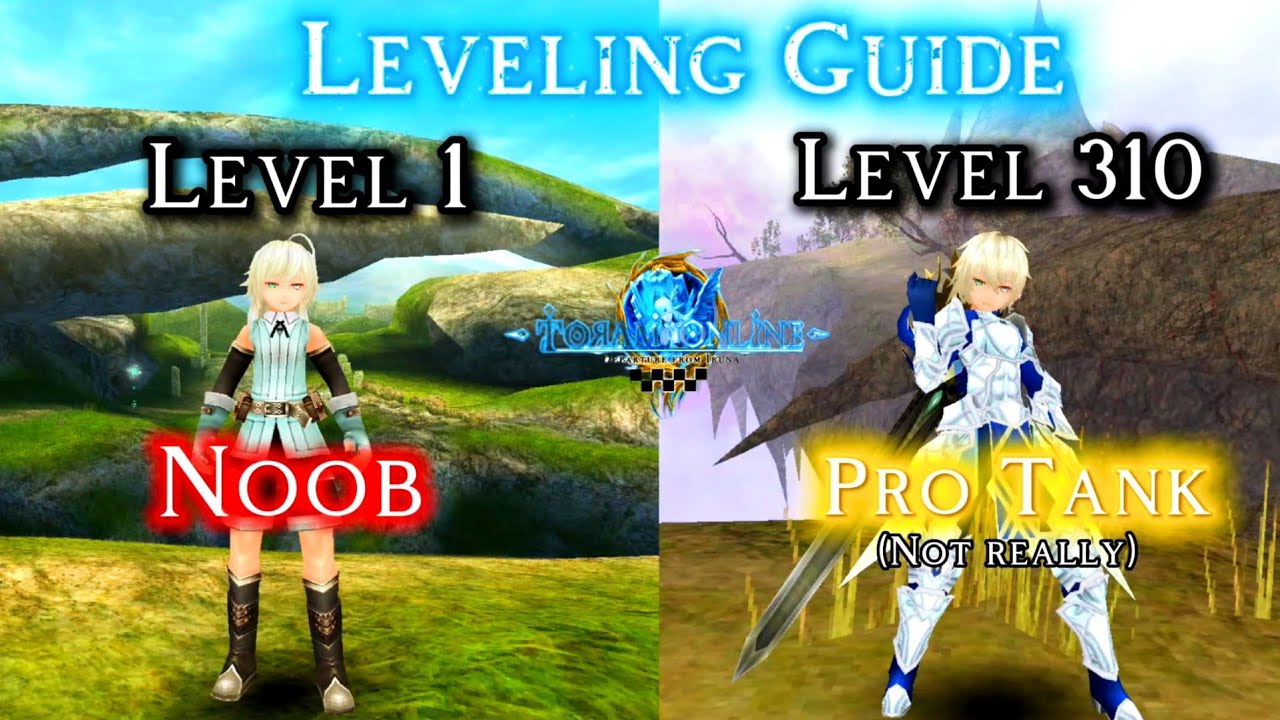 Noob to Pro Tank Leveling Guide (Level 1&ndash;310) | Toram Online