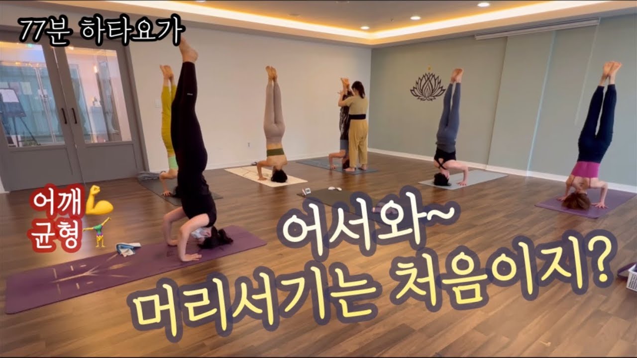 [엔젤요가] 어서와~ 머리서기는 처음이지? | 어깨힘💪 | 균형감각🤸‍♀️ | 암밸런스 연결 하기