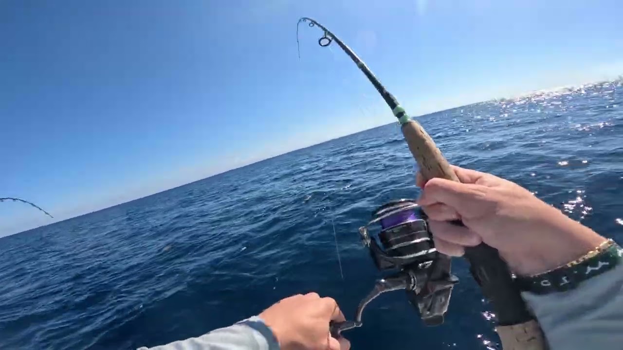 Vertical Jigging Jacks In Miami