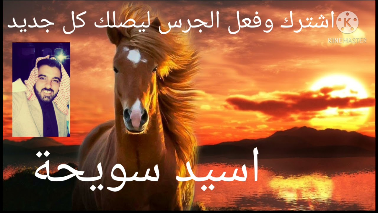 تعاليل رقاوية اسيد سويحة جديد