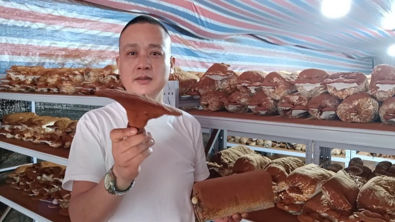 种植户最想要的成功收益