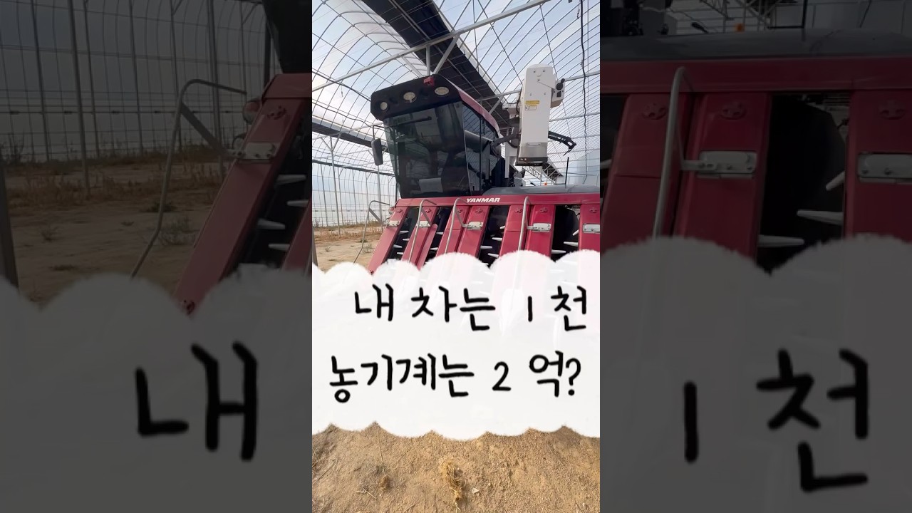 차는 1천 농기계는 2억?! #콤바인 #청년농부 #벼 #벼농사 #수도작 #추수 #여성농업인 #농기계추천 #농업기계