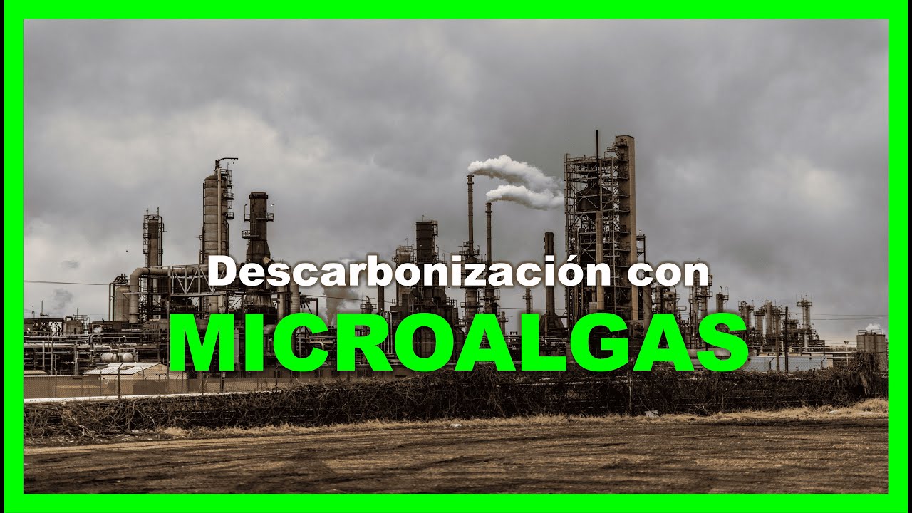 DESCARBONIZACIÓN CON MICROALGAS