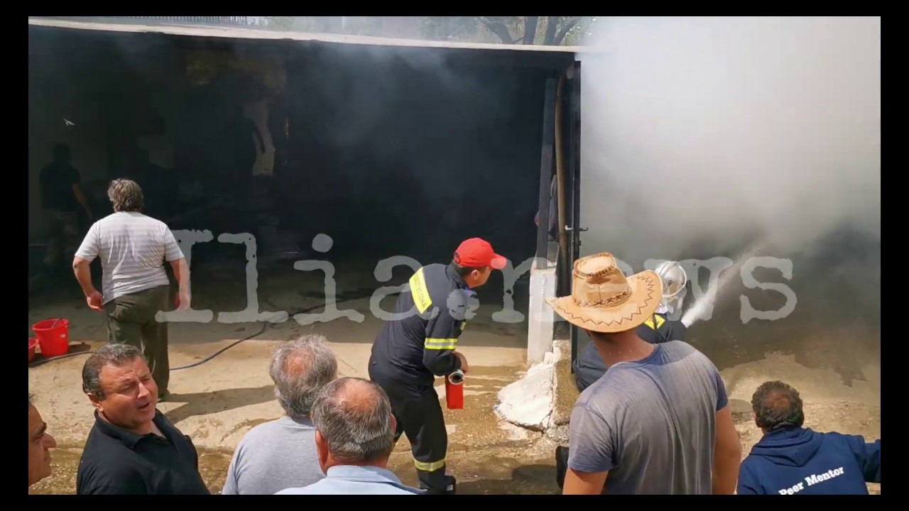 &Kappa;ά&eta;&kappa;&epsilon; &omicron;&lambda;&omicron;&sigma;&chi;&epsilon;&rho;ώ&sigmaf; &alpha;&pi;&omicron;&theta;ή&kappa;&eta; &sigma;&tau;&eta;&nu; &laquo;&kappa;&alpha;&rho;&delta;&iota;ά&raquo; &tau;&eta;&sigmaf; &Alpha;&rho;&chi;&alpha;ί&alpha;&sigmaf; Ή&lambda;&iota;&delta;&alpha;&sigmaf;