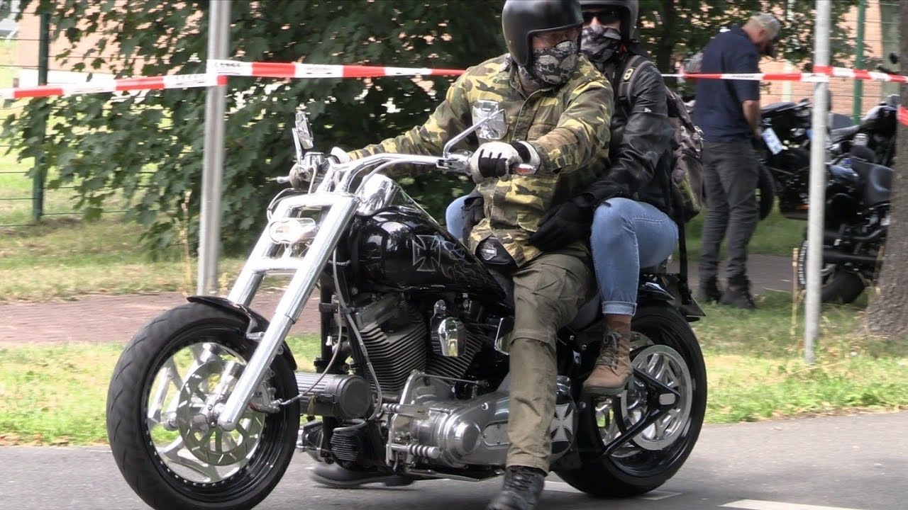 Harley 