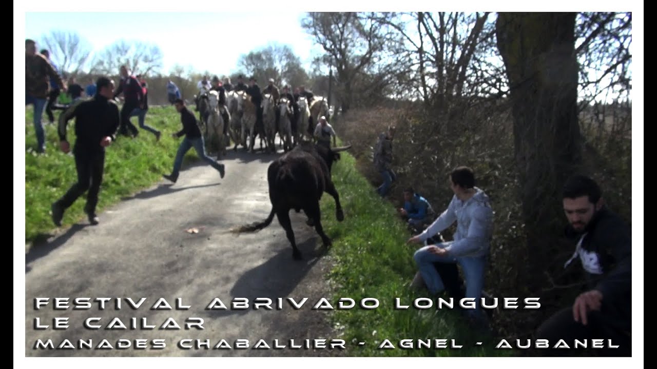 Festival Abrivado Longues Le Cailar 28-02-2015