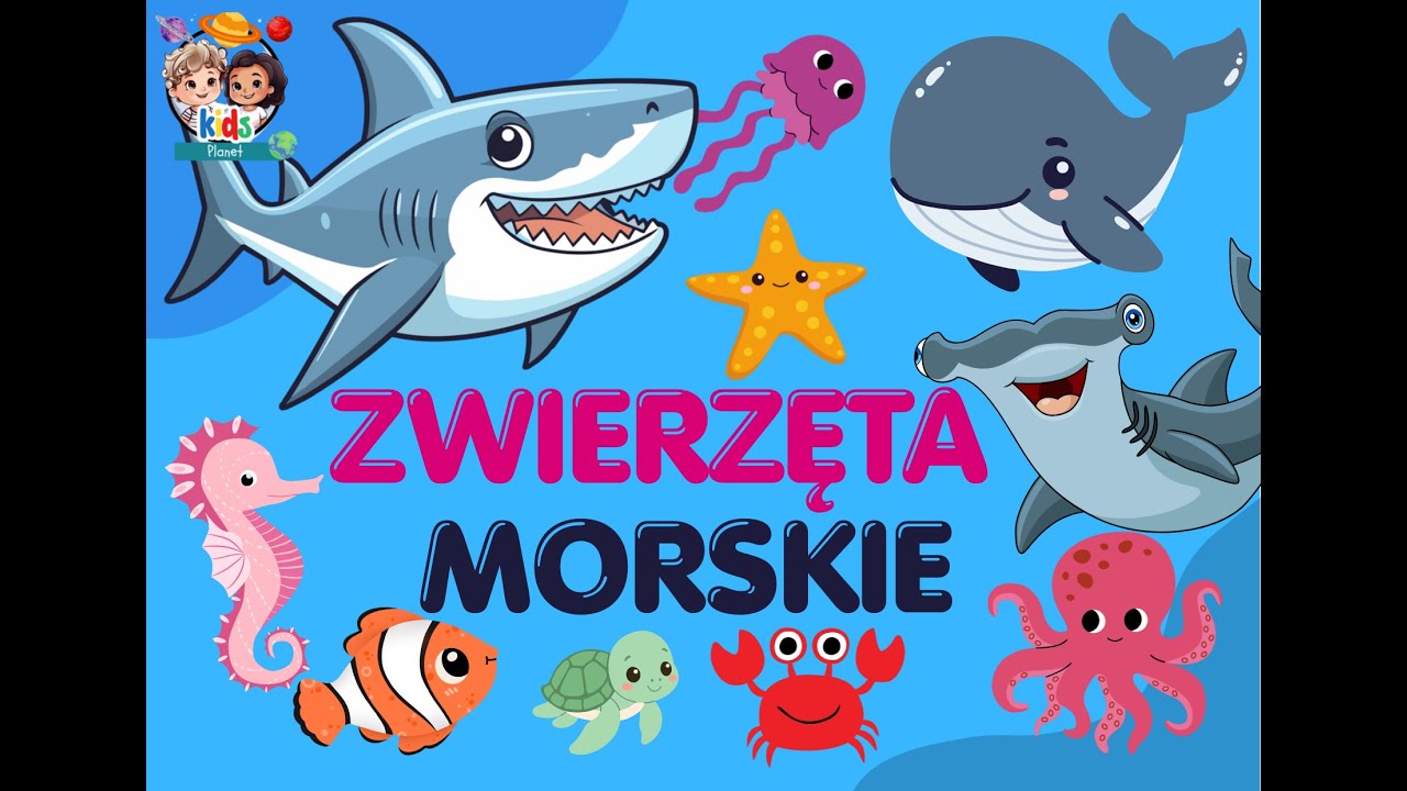 Poznaj Najciekawsze Zwierzęta Morskie!