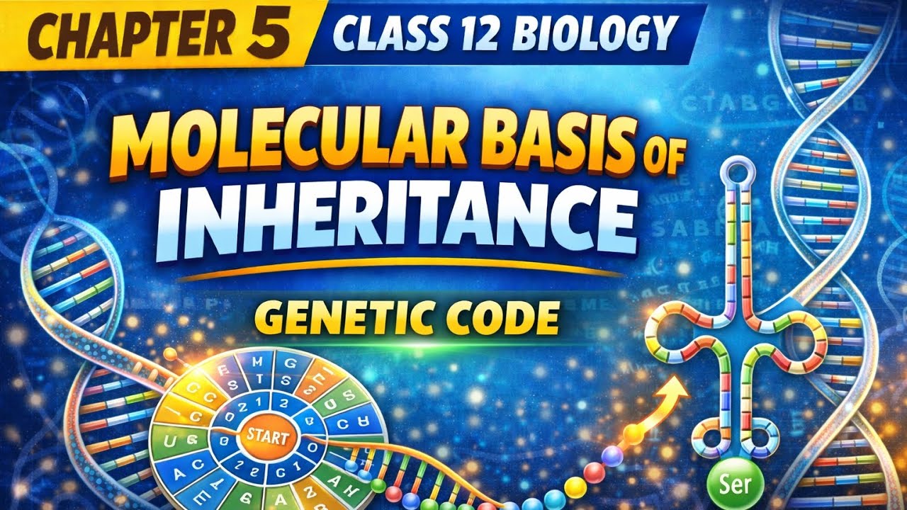 Genetic Code | Properties & Codons Explained (Class 12 Biology)