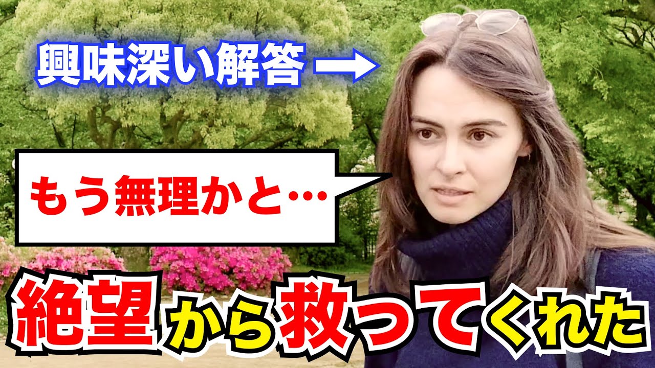 「この国では信じられないことが起こる…」外国人観光客にインタビュー｜ようこそ日本へ！Welcome to Japan!【海外の反応】