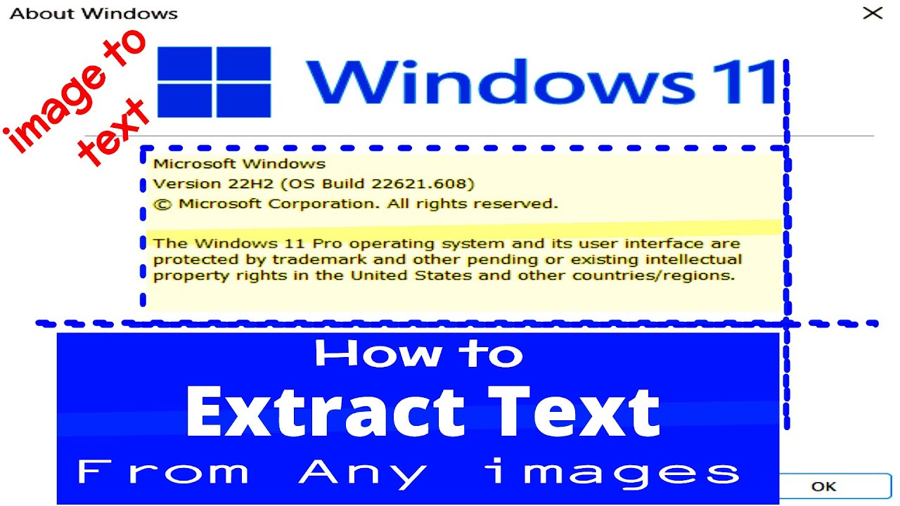 Text to Image How to Extract Text from Any Image | Windows 11 22h2