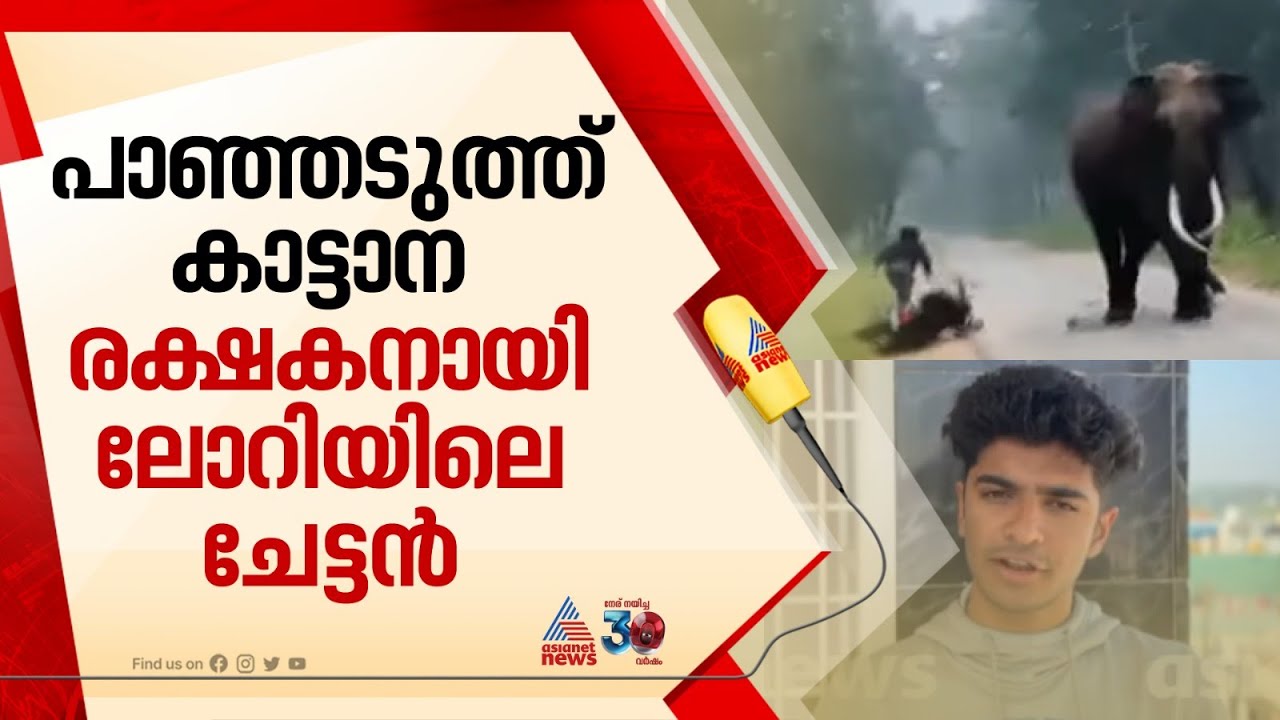 'ലോറി ഓടിച്ച ചേട്ടനാ ഹോണടിച്ച് ആനയെ ഓടിച്ചത്';രക്ഷപ്പെട്ട യുവാവ് | Lorry driver | Elephant | Wayanad