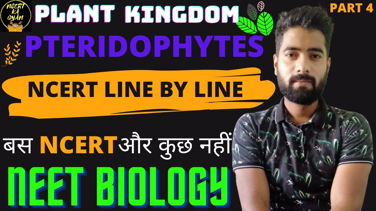 Pteridophytes||Plant kingdom||Class 11th biology NCERT chapter 4||NEET Biology