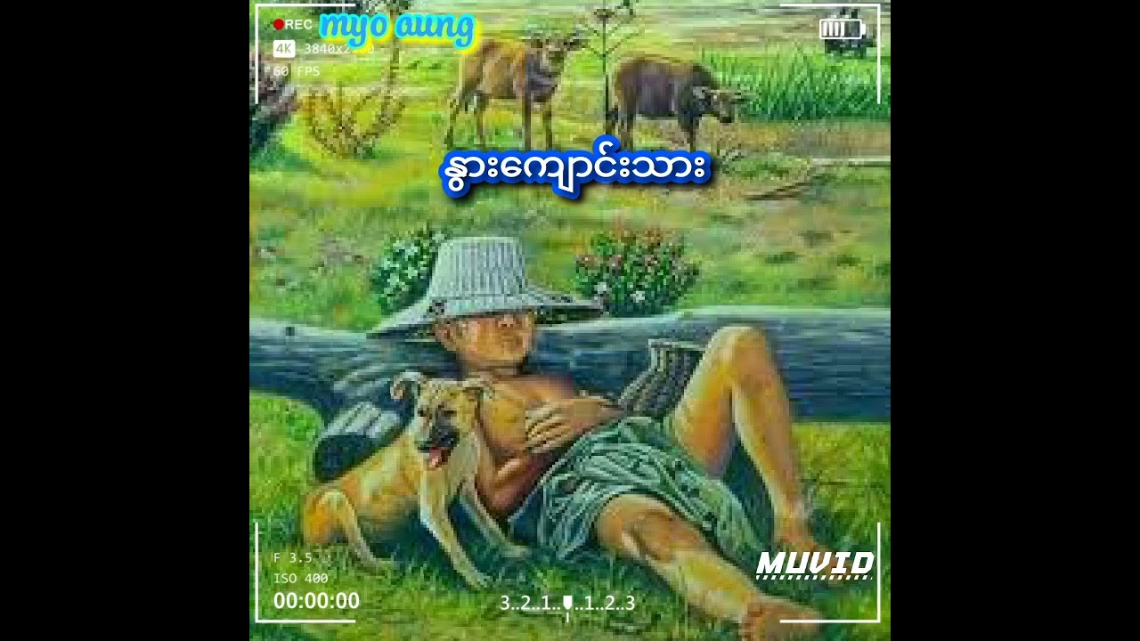 စိုင်းဆိုင်မောဝ် -  နွားကျောင်းသား