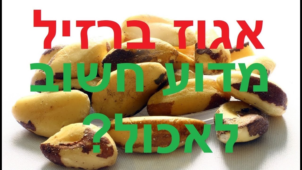 אגוזי ברזיל ערך תזונתי, אגוזי ברזיל יתרונות, אגוזי ברזיל כמה ביום, האם בריא לאכול אגוז ברזיל