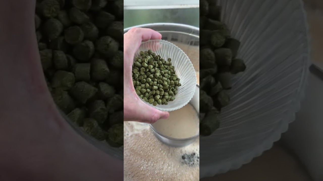 Labastard 2.0 birrificio del doganiere allgrain