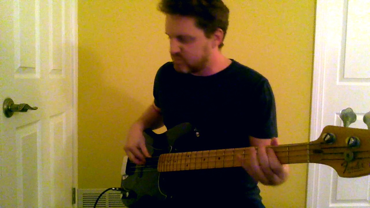 nobody but me-human beinz (bass cover)