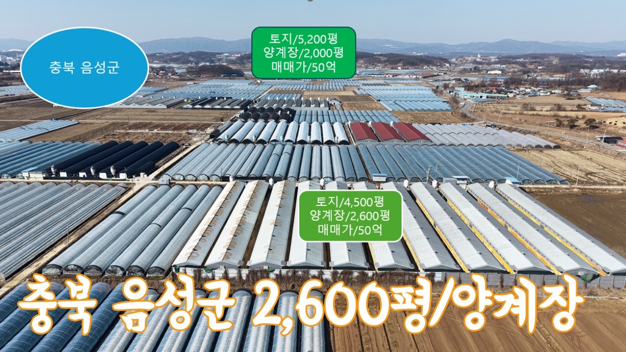 충청북도 음성군 2,600평 양계장/매매가 50억 급매