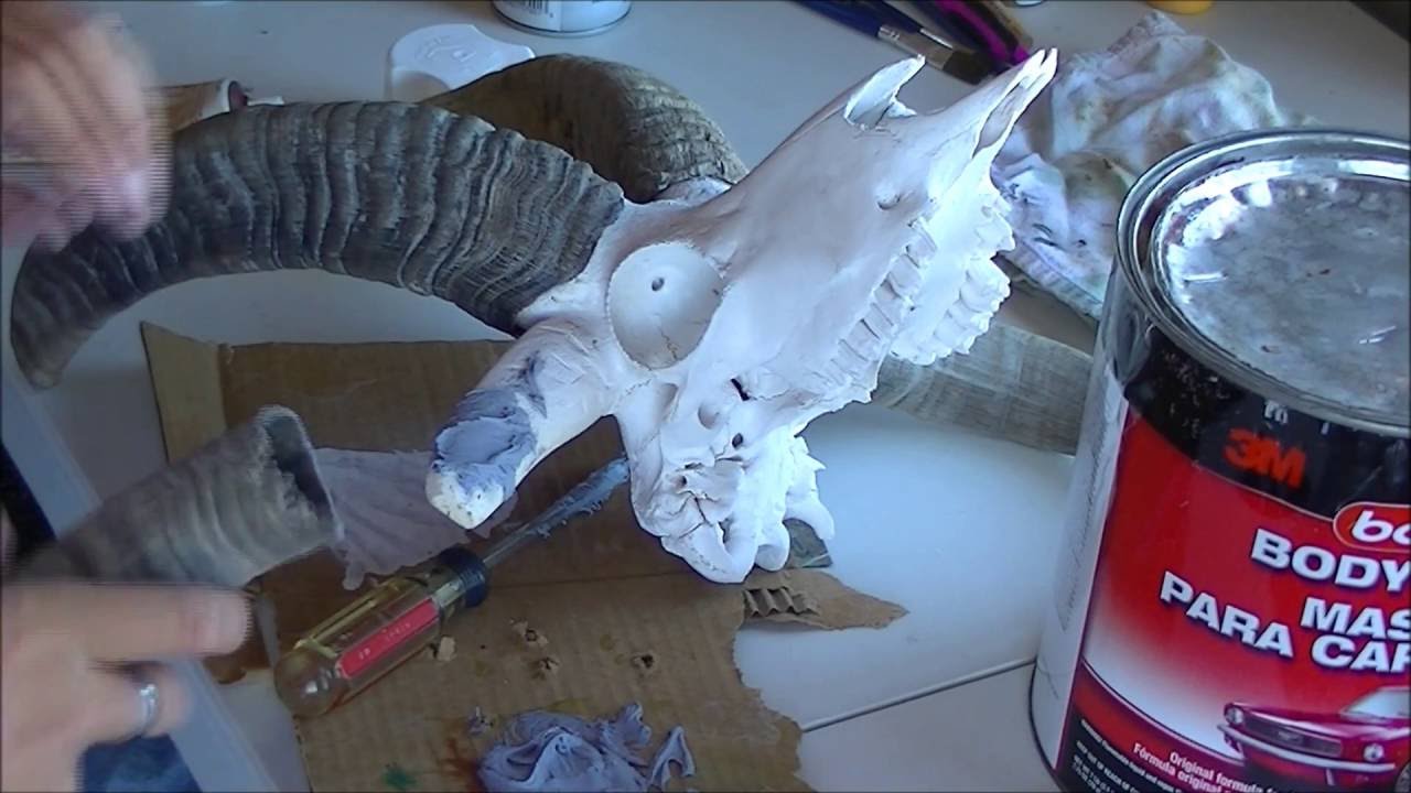 DIY EURO MOUNT | REPAIRING DAMAGED ANIMAL SKULLS