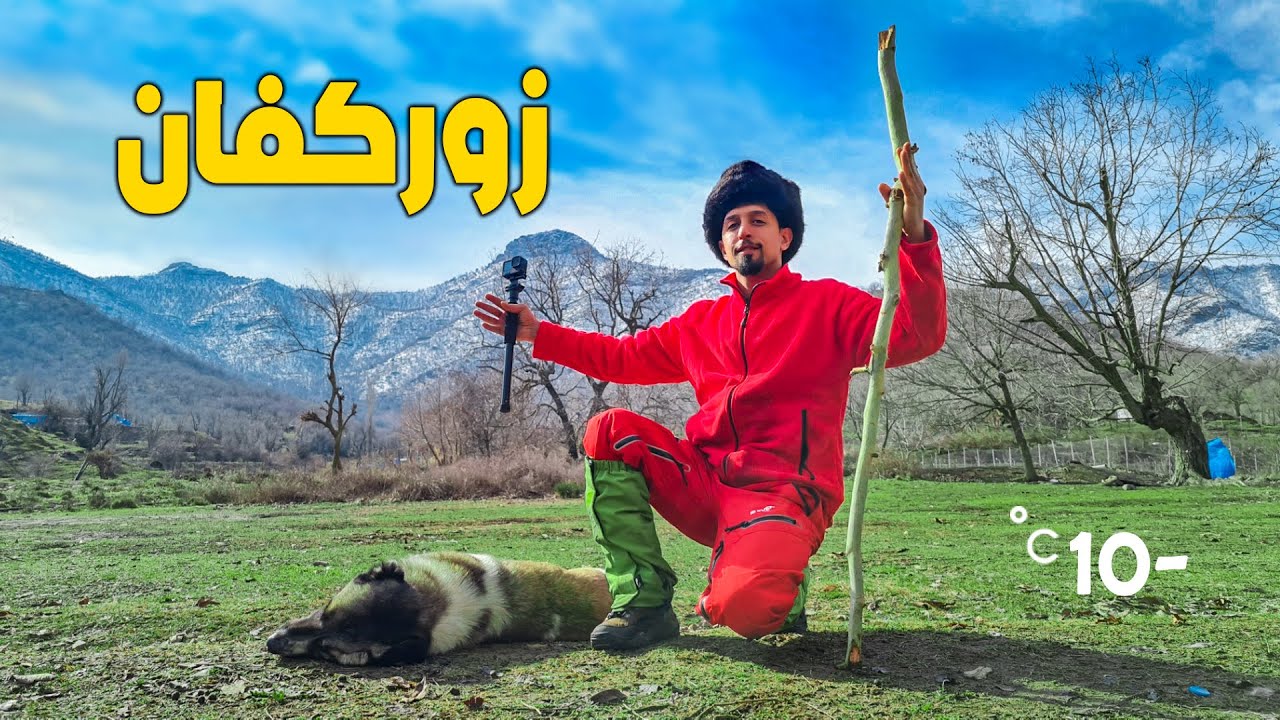 التخييم في غابات زوركفان