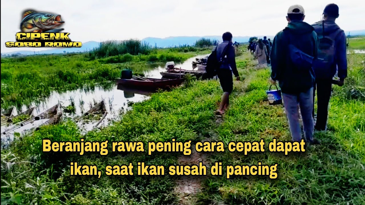 Tips..!!!cara dapat ikan saat ikan sudah di pancing. //beranjang //tutorial //@cipenksoborowo7854 