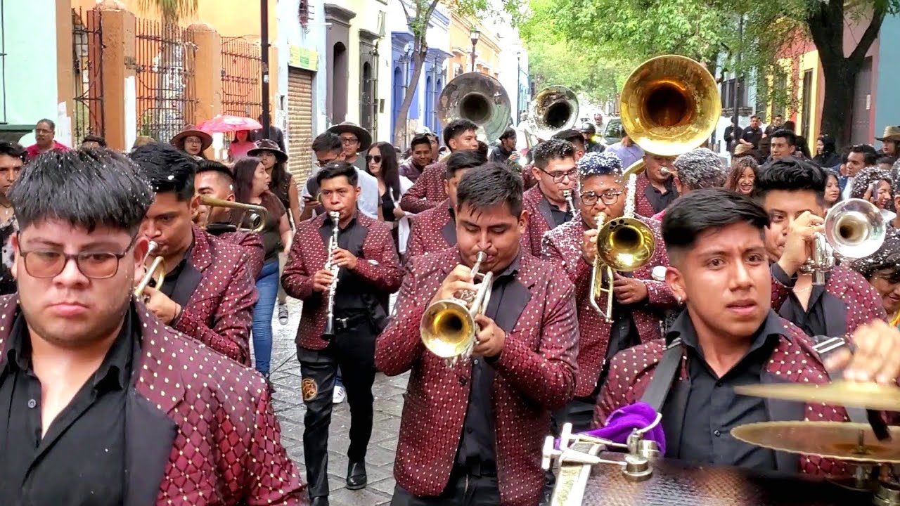 ÉSTA BANDA VA SUBIENDO COMO ESPUMA!!😱BANDA LA HOJITA SECA🍂2023📸