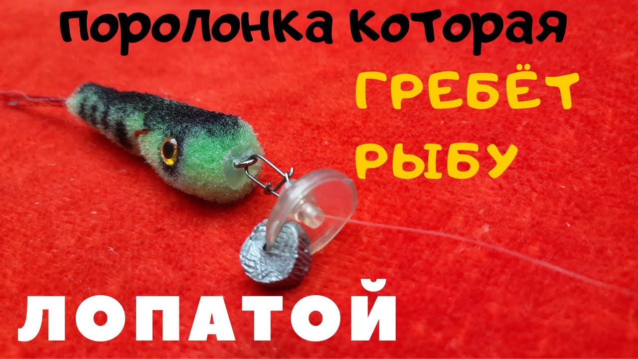 Эта поролонка гребёт рыбу  лопатой