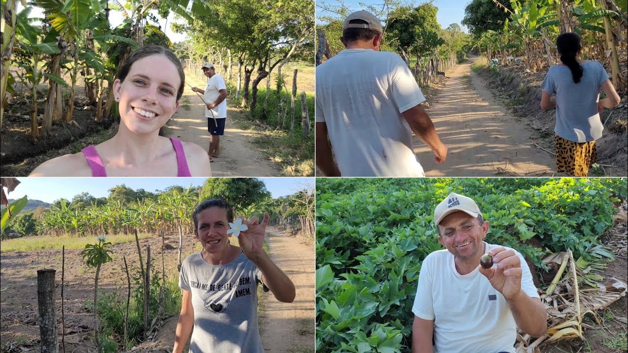 FIM DE TARDE INDO TIRAR JABUTICABA COM A FAMÍLIA 
