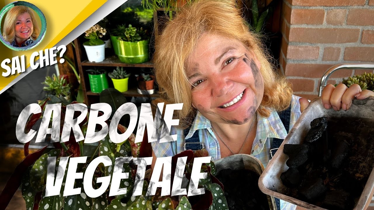 CARBONE VEGETALE e piante…PROVIAMOLO