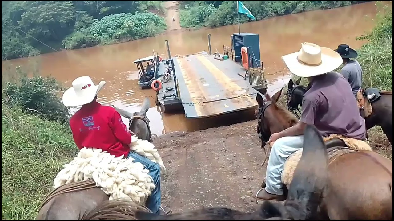 Fizemos um passeio com as mulas até a cidade de Godoy Moreira 🤠