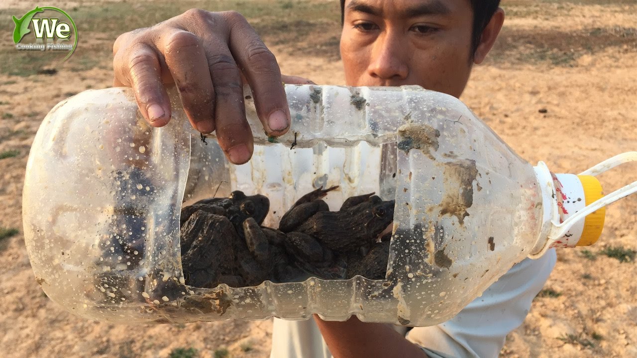 How To Catch Frog With Plastic Bottle