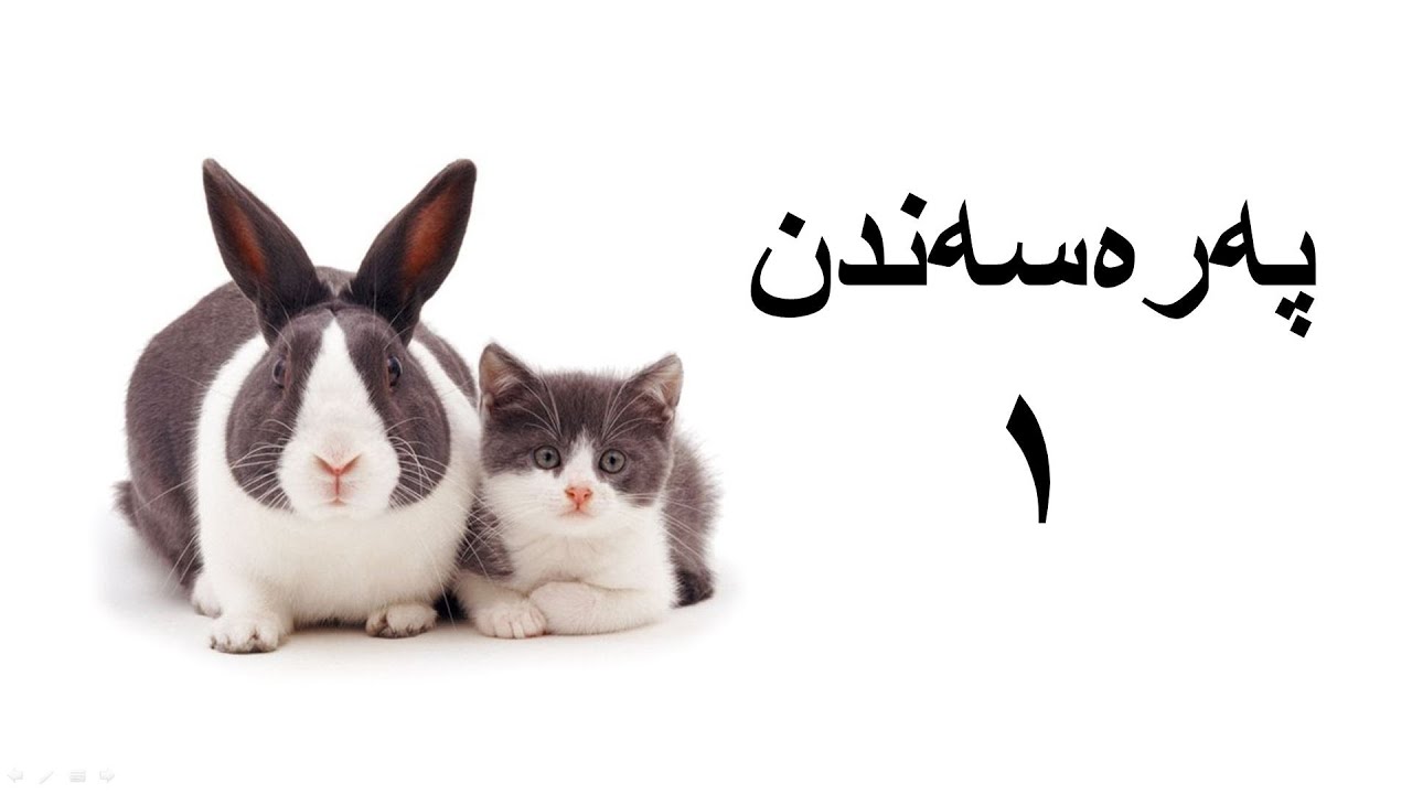 پەرەسەندن