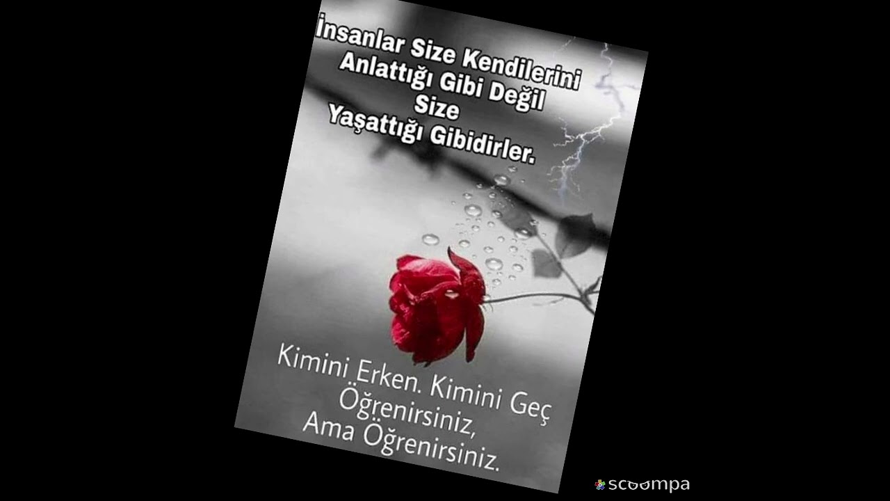 Felekten bir gece caldim Doldur kadehi icelim kekom..