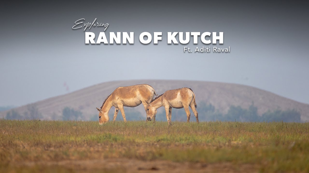 Explore Little Rann of Kutch | Great Rann of Kutch | Evoke Dholavira | Mari Najare Gujarat |