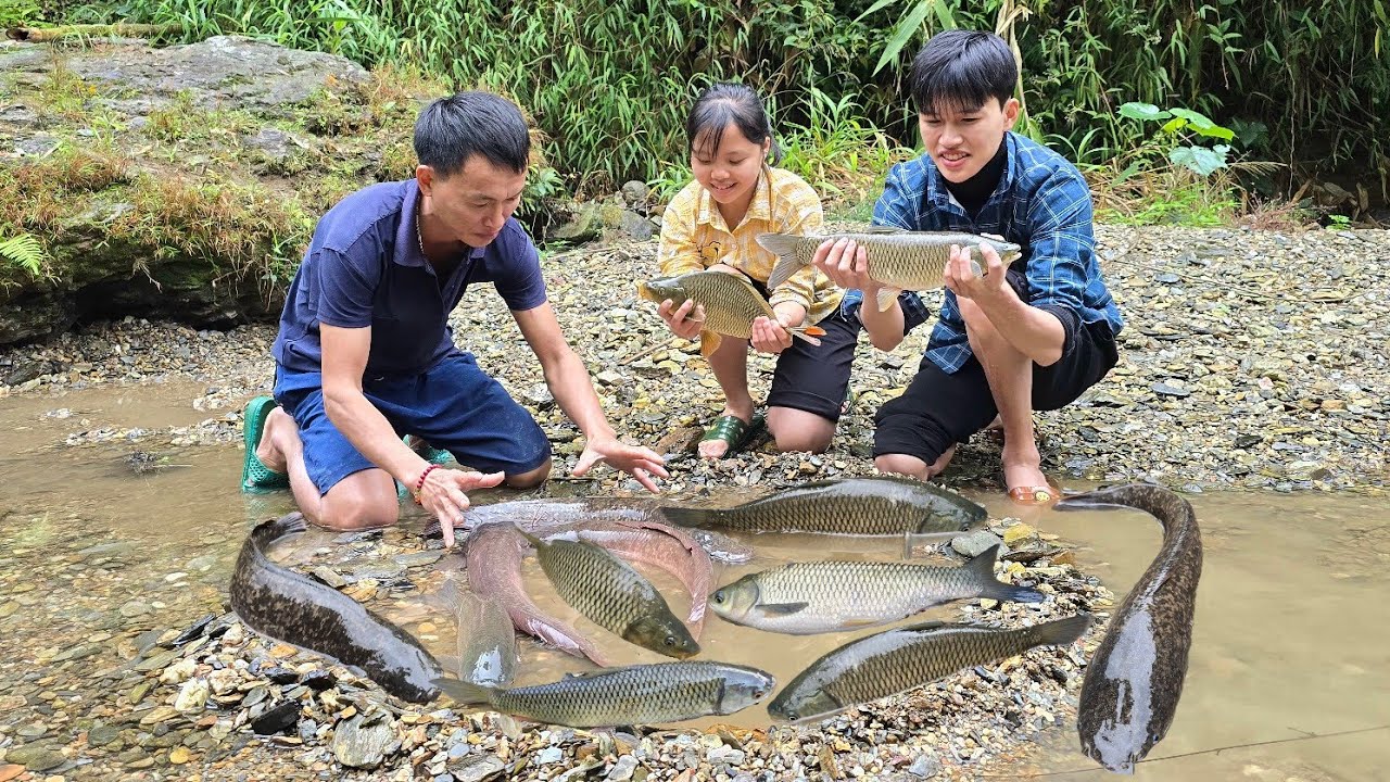 Quang Lanh harvests vegetables and taro, catches fish to sell, and cooks a full meal of grilled fish