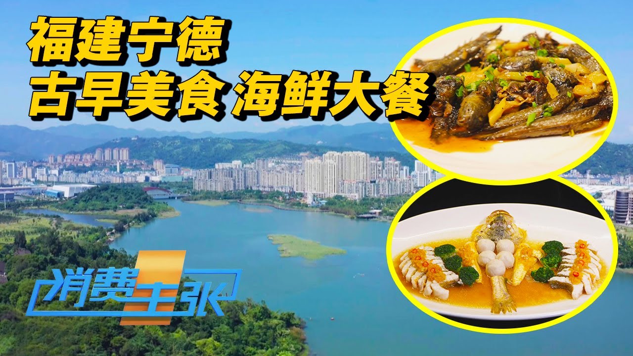 福建宁德：从百变黄鱼到丑萌“土丁”，山海间的味蕾盛宴，古早味与海鲜的绝美邂逅 「消费主张」2024中国夜市全攻略 20240913 | 财经风云