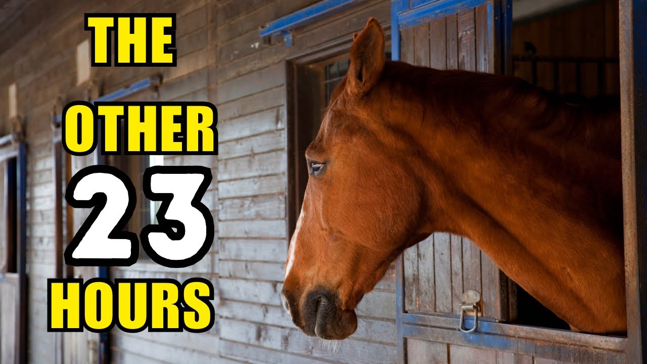 The Other 23 Hours: Reform Stalling Practices (SHORT FILM)
