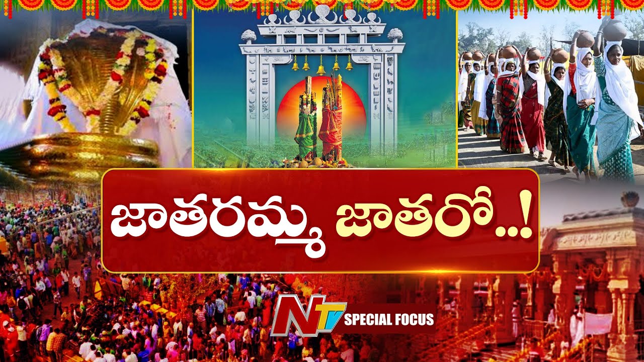 అడవే దేవాలయం.. మేడారం & నాగోబా జాతరల అద్భుత గాధ | Medaram, Nagoba Jatara | Special Focus |NTV Telugu