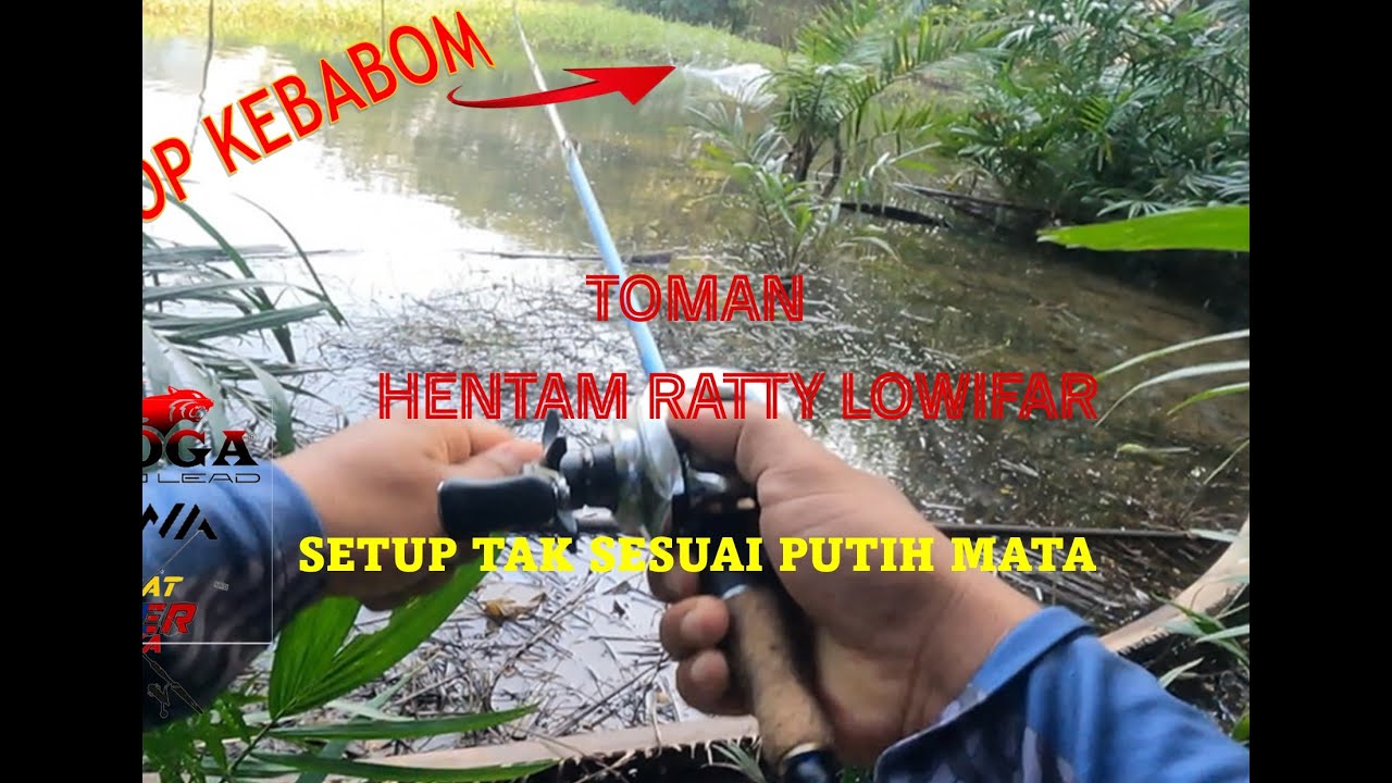 LOWIFAR RATTY GODA TOMAN