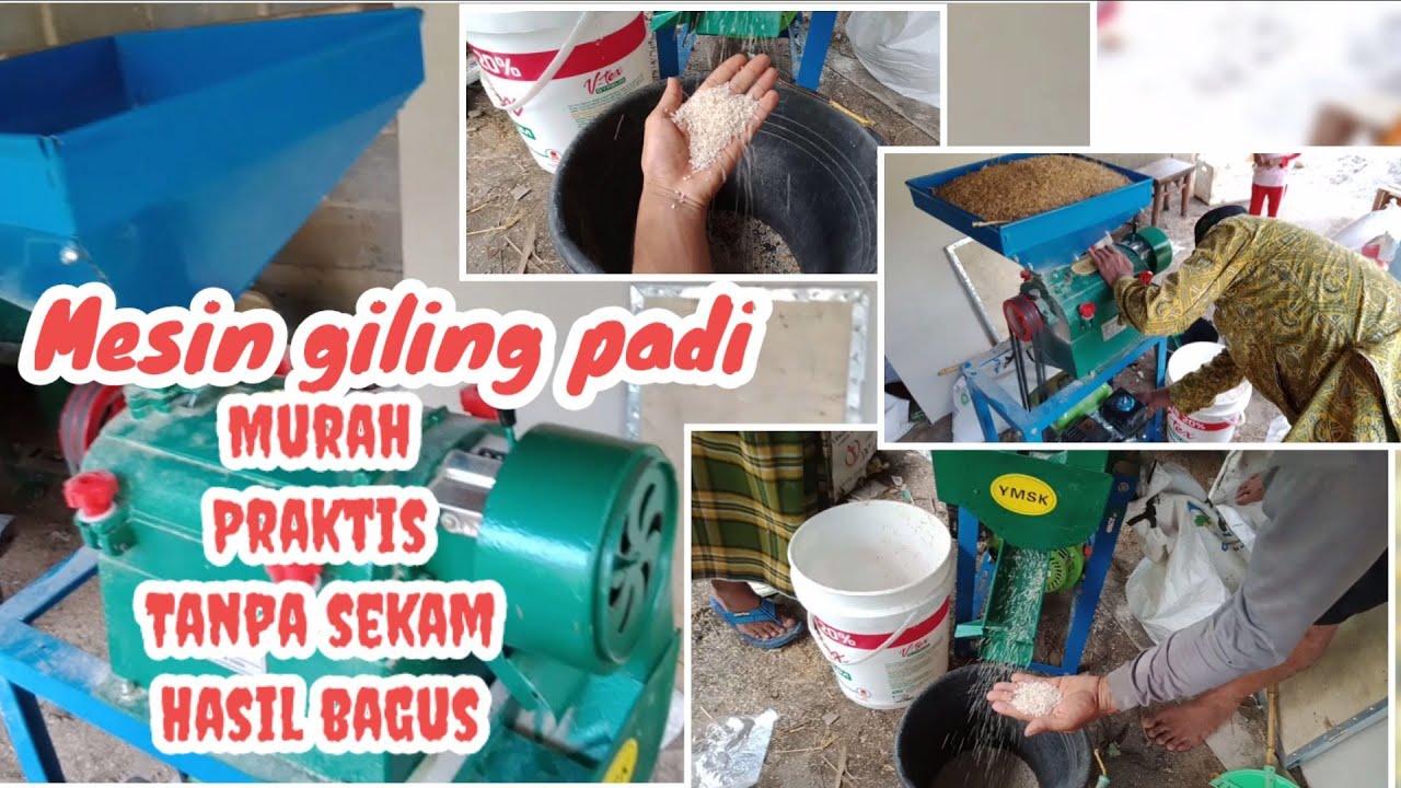 MESIN GILING PADI TANPA SEKAM || Murah hasil bagus