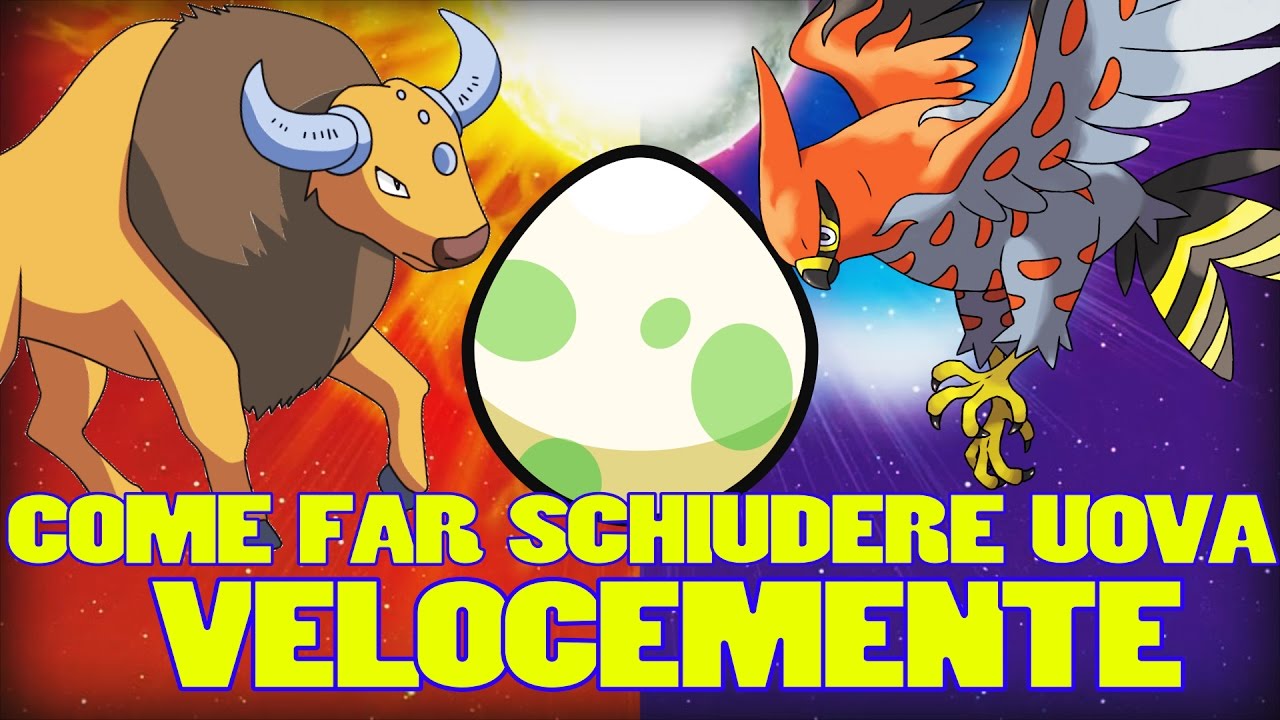 COME FAR SCHIUDERE UOVA VELOCEMENTE! - Pok&eacute;mon Sole/Luna